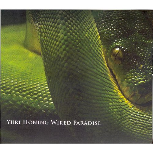 "CD cover featuring a close-up of a green snake's head and scales."