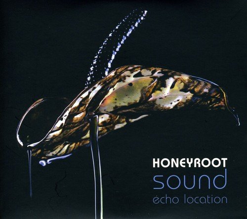 A CD cover featuring a butterfly with headphones against a dark background with text.