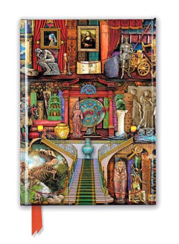 Aimee Stewart: Museum Bookshelves (Foiled Journal) (Flame Tree Notebooks)