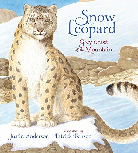 Snow Leopard: Grey Ghost of the Mountain: 1 (Nature Storybooks)