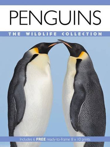 Penguins (Wildlife Collection)