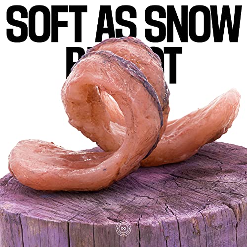 Various - Bit Rot [VINYL]