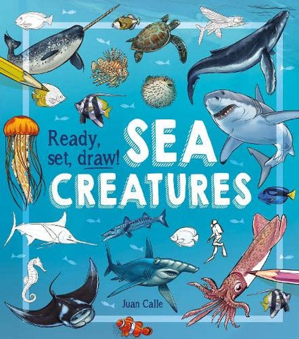 Ready Set  Draw : Sea Creatures