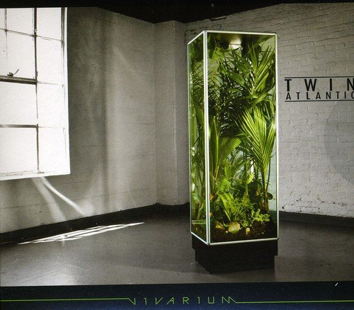 "Tall glass terrarium with lush green plants in a dimly lit, white-walled room."