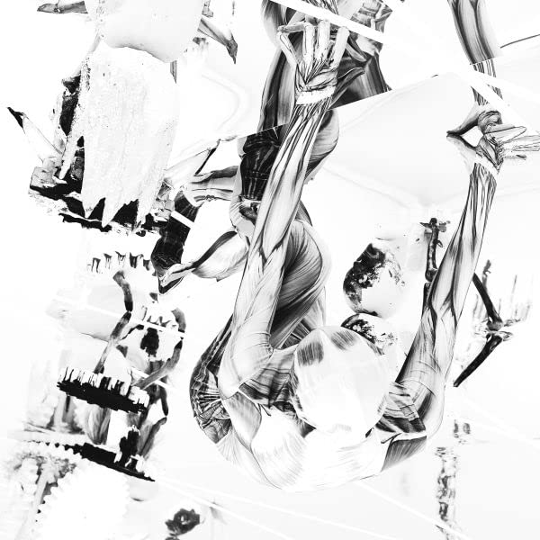 Belp - Crocodile [VINYL]