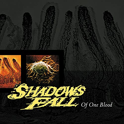 Shadows Fall - Of One Blood (Yellow With Black Marble Vinyl) [VINYL]
