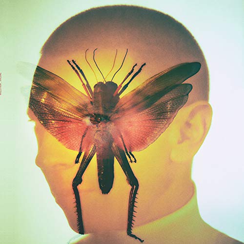 Maelstrom - Rhizome [VINYL]