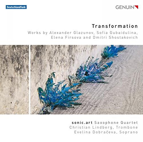 "CD cover with blue abstract shapes on a concrete surface, white background, text overlay."
