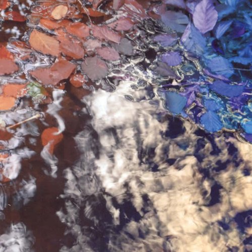 An abstract image of red and blue leaves reflected in rippling water.