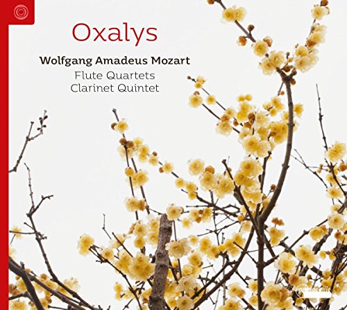 Album cover featuring a blooming tree with yellow flowers against a white background.