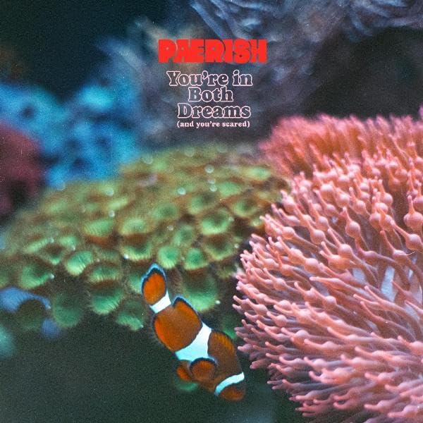 Paerish - Youre In Both Dreams (And Youre Scared) [VINYL]