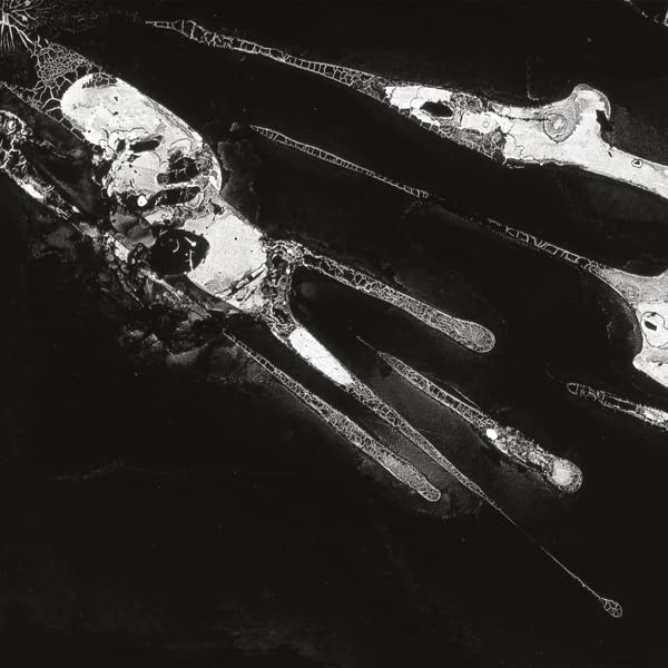 Various - Psychic Health [VINYL]
