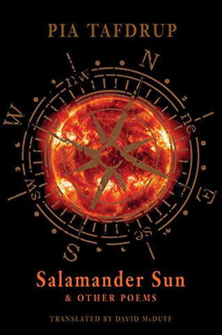 Salamander Sun and other poems