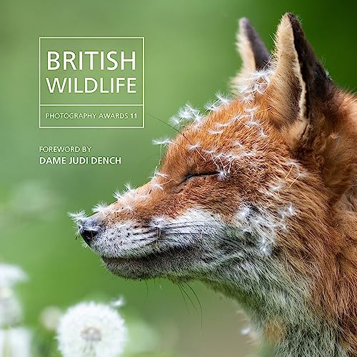 British Wildlife Photography Awards 2023: Photography Awards 11