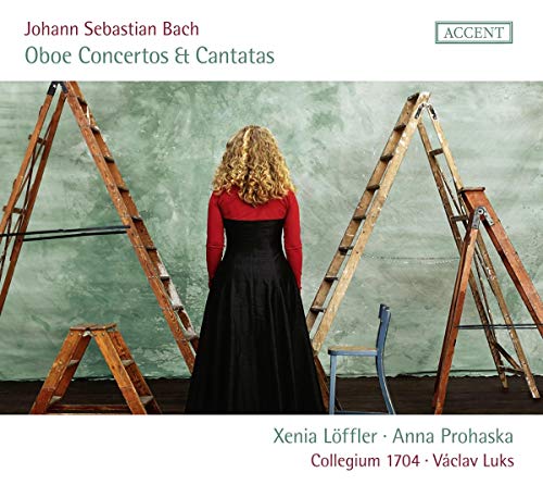 A CD cover featuring a woman standing between three ladders against a green wall.