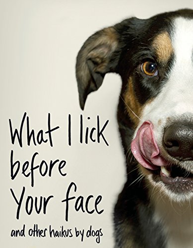 Book cover featuring a dog with tongue out, titled "What I Lick Before Your Face".