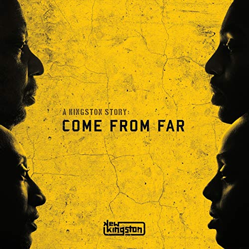 "Vinyl album cover with silhouetted faces on yellow cracked background, text 'New Kingston' and title."