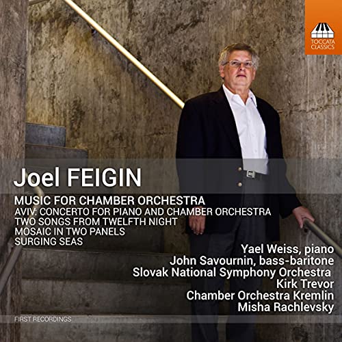 Various - Joel Feigin: Music For Chamber Orchestra [CD]