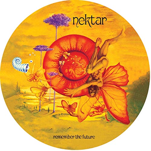 "Picture disc vinyl record with floral artwork and black insert featuring band photo and tracklist."