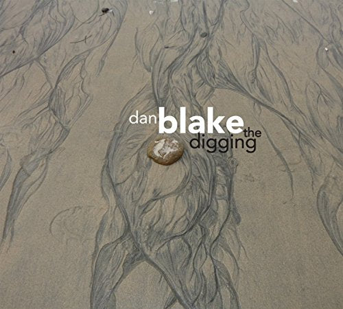 "Album cover with 'dan blake the digging' text over a wet sandy surface and a stone."