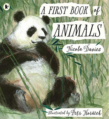 A First Book of Animals: 1