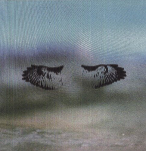 "Vinyl record cover featuring a blurry image of two bird wings over water."
