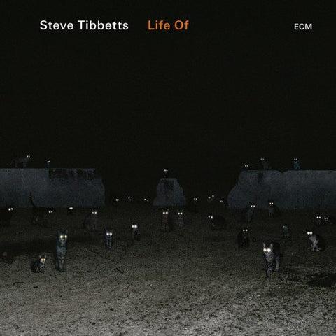 Steve Tibbetts - Life Of [CD]