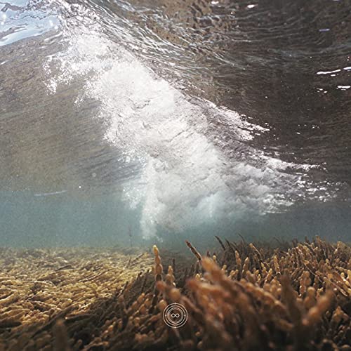Various - Pulchra Es Elementis [VINYL]