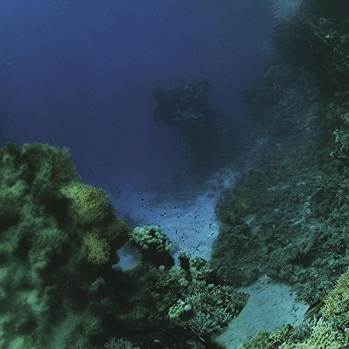 Tiny Fingers - The Fall [VINYL]