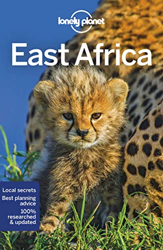 "Lonely Planet travel guide cover featuring a cheetah cub in the grass."