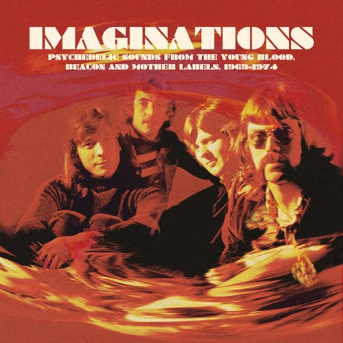 Various - Imaginations: Psychedelic Sounds From The [CD]