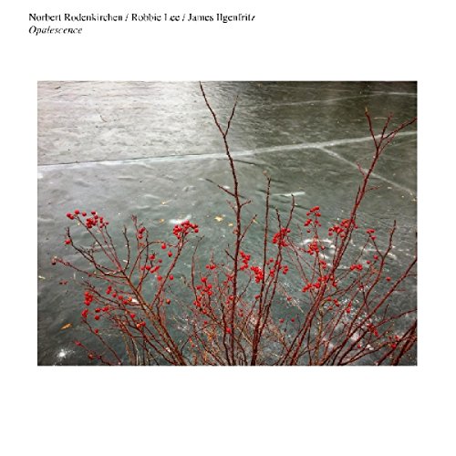A vinyl record cover featuring a photo of red twigs on frozen water.