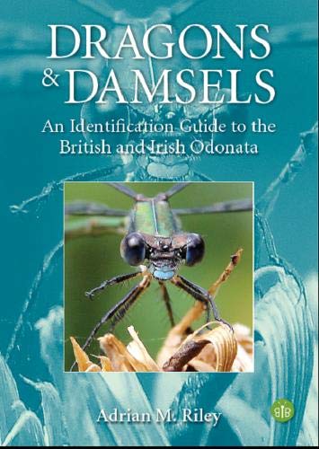 "Book cover with a dragonfly on a flower, titled 'Dragons & Damsels'."