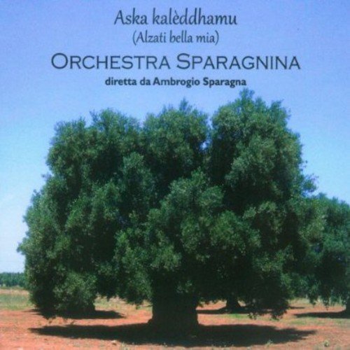 "CD cover featuring a large green tree against a blue sky."