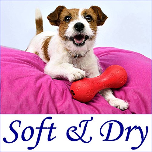 A small dog lies on a pink blanket holding a red rubber bone.