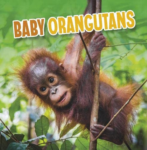Baby Orangutans (Baby Animals)