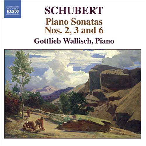 "CD cover with landscape painting and text about Schubert piano sonatas."