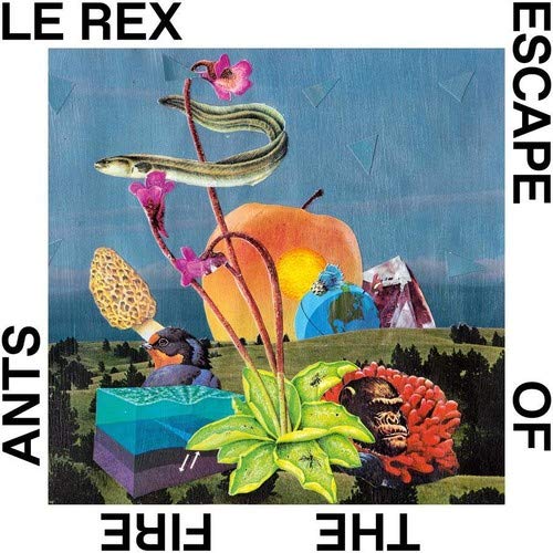 "Album cover with surreal collage of animals, plants, and abstract shapes on blue background."