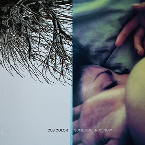 Cubicolor - Sometime Not Now [VINYL]