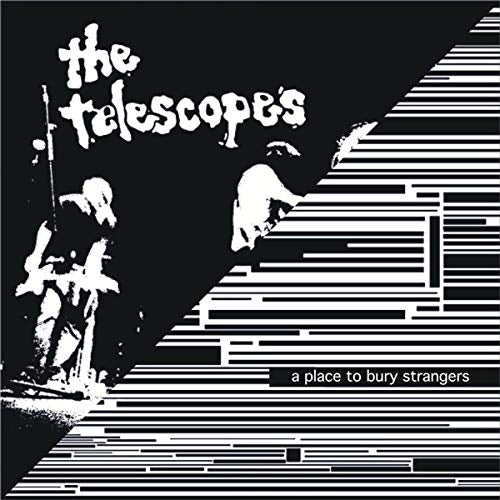 A Place To Bury Strangers / The Telescopes - I wanna be your dog [12"] [VINYL]