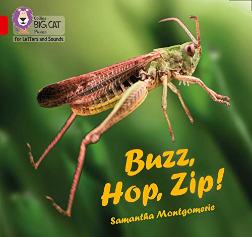 Buzz, Hop, Zip!: Band 02A/Red A (Collins Big Cat Phonics for Letters and Sounds)