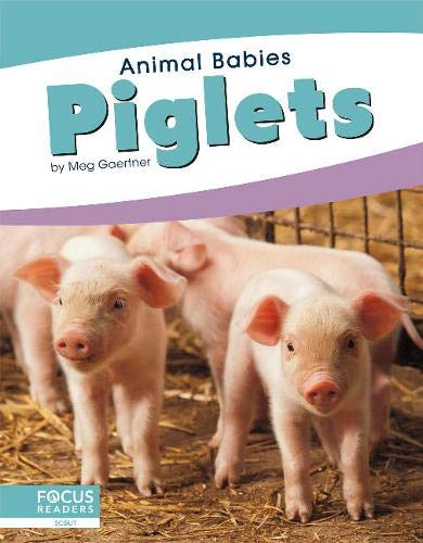 Piglets (Animal Babies)