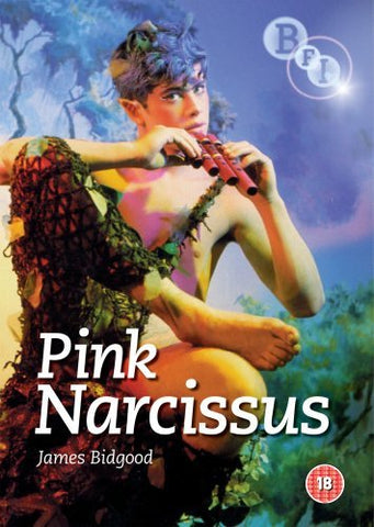 Pink Narcissus [DVD]