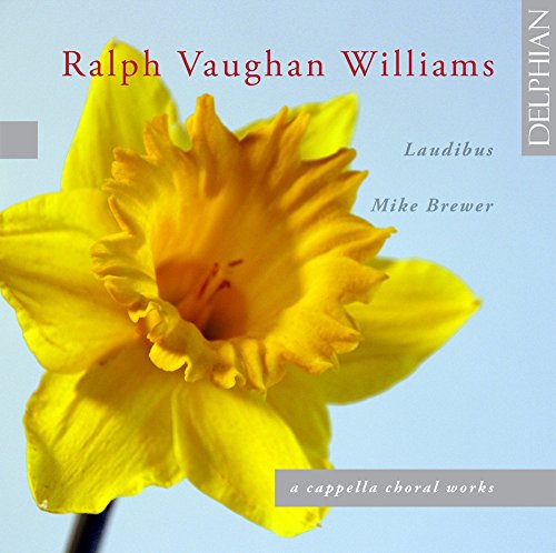 A CD cover featuring a close-up of a yellow daffodil against a blue background.