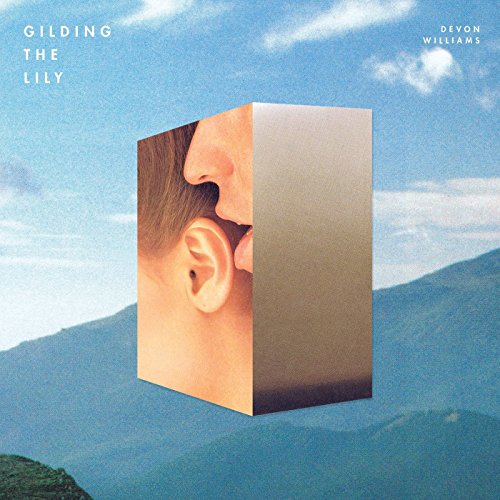 "Album cover featuring a 3D cube with a man's profile against a mountainous landscape."