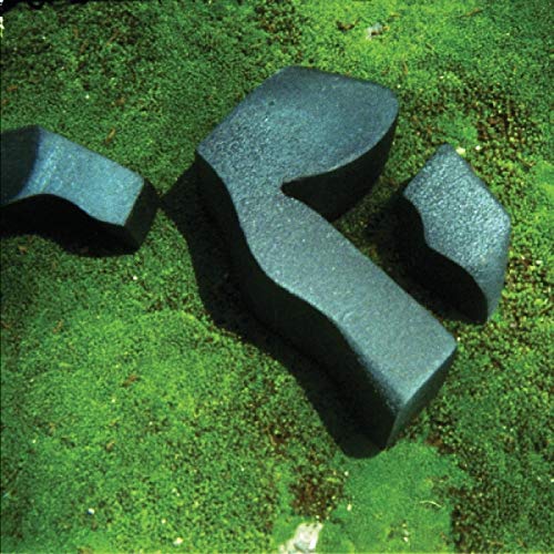 A black CD case on green moss with a broken stone sculpture.