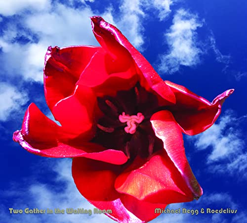 Begg Michael & Hans Joachim Ro - Two Gather In The Waiting Room [CD]