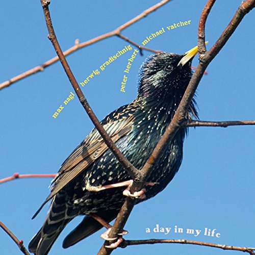 "CD cover featuring a starling perched on bare branches against a blue sky."