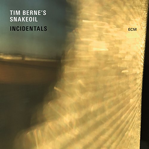 Album cover with abstract gold texture and text "Tim Berne's Snakeoil Incidentals".