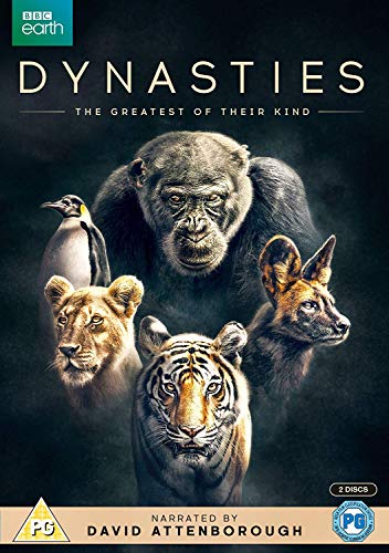 "Dynasties" DVD cover featuring a gorilla, lion, tiger, wild dog, and penguin.